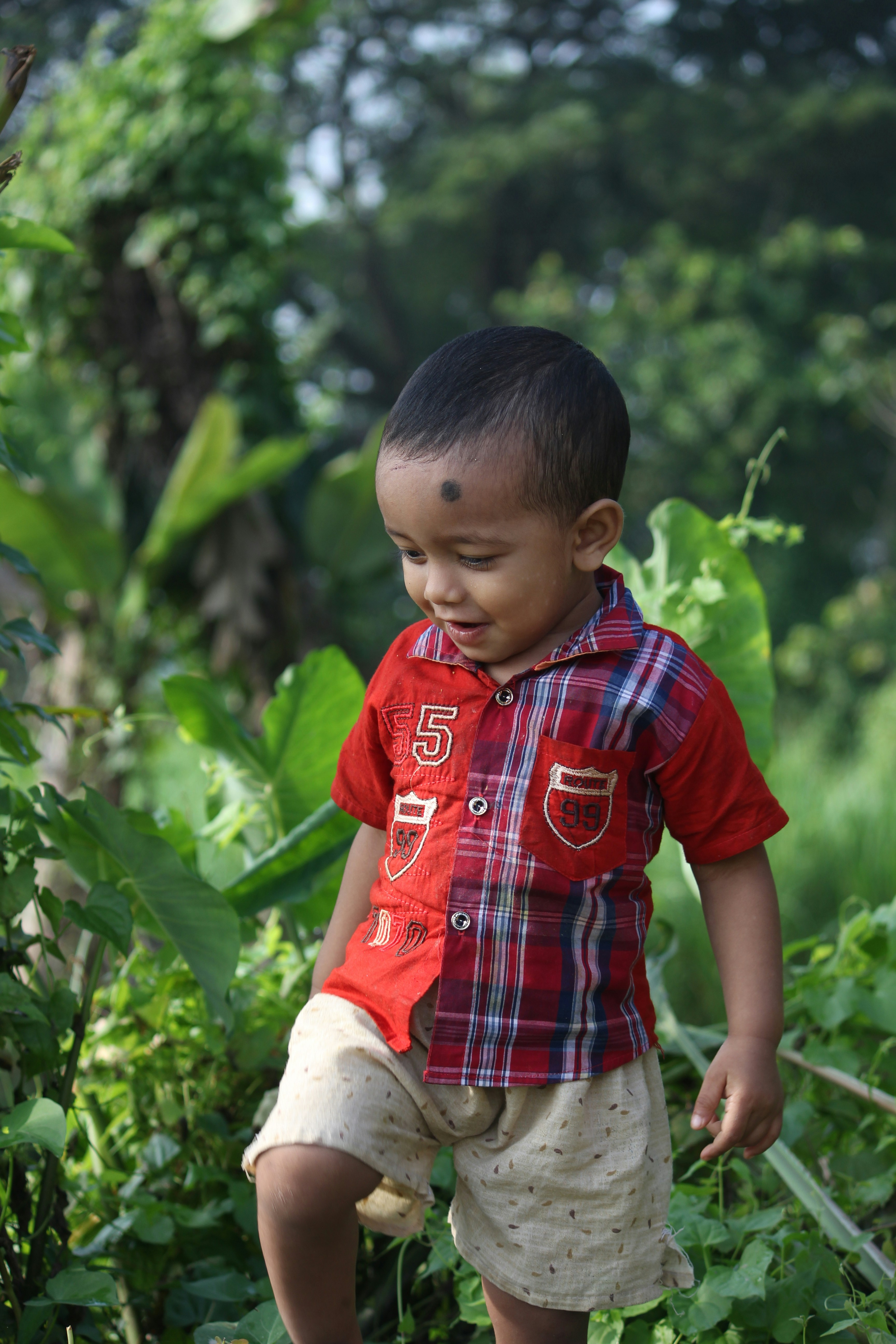 资讯缩略图：综艺热度分析